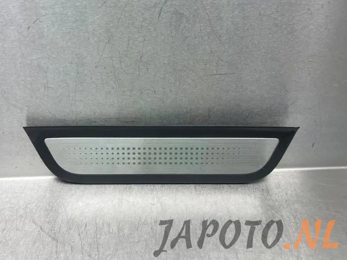 Placa del desgaste del travesaño de la puerta izquierda Hyundai Ioniq