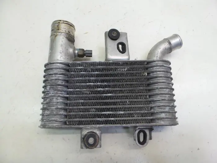 Intercooler Daihatsu Young RV